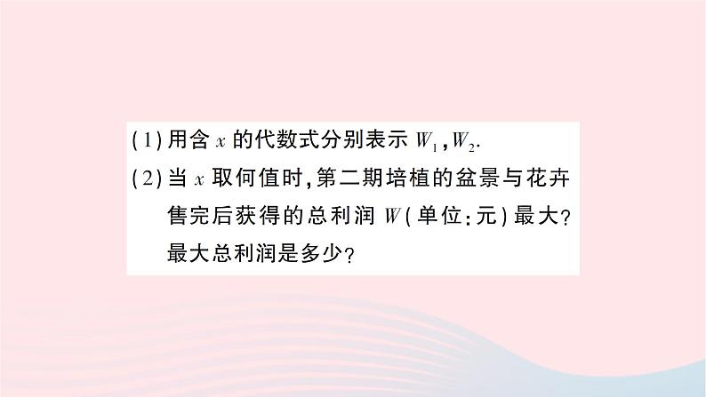 2023九年级数学下册题型8二次函数综合题作业课件新版沪科版07