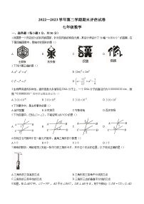 河南省平顶山市宝丰县2022-2023学年七年级下学期期末数学试题（含解析）