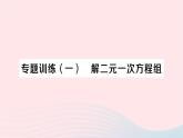 2023七年级数学下册第1章二元一次方程组专题训练一解二元一次方程组作业课件新版湘教版