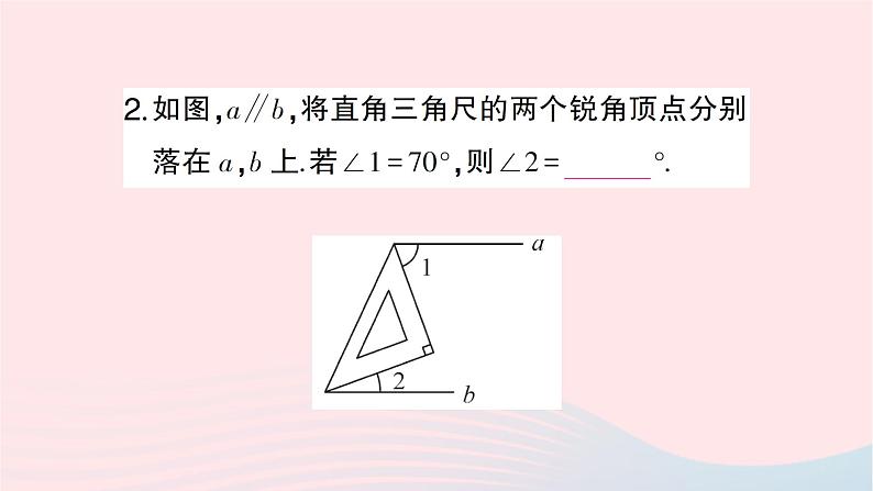 2023七年级数学下册第4章相交线与平行线专题训练九利用平行线的性质求角度一借助三角尺的特征作业课件新版湘教版第4页