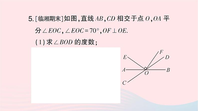 2023七年级数学下册第4章相交线与平行线4.5垂线第1课时垂线作业课件新版湘教版06