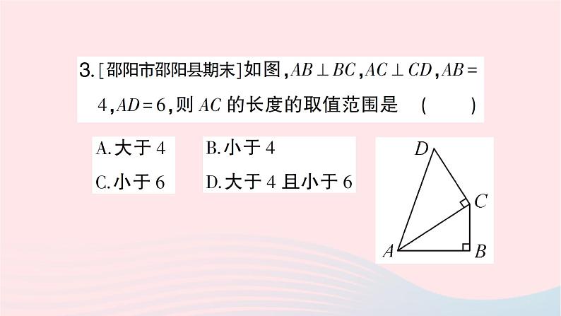 2023七年级数学下册期末基础专题9垂线及其相关计算作业课件新版湘教版第5页