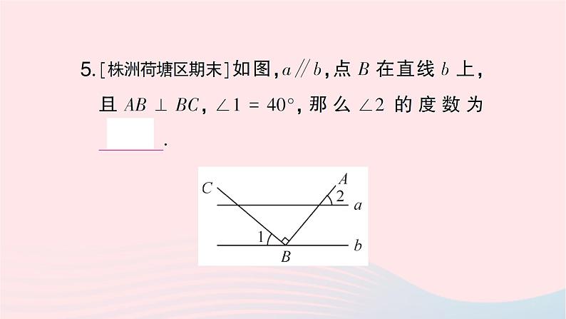 2023七年级数学下册期末基础专题9垂线及其相关计算作业课件新版湘教版第7页