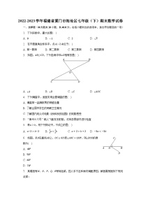 2022-2023学年福建省厦门市海沧区七年级（下）期末数学试卷（含解析）