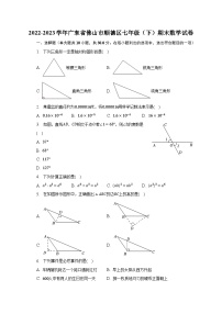 2022-2023学年广东省佛山市顺德区七年级（下）期末数学试卷（含解析）