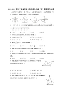 2022-2023学年广东省河源市和平县八年级（下）期末数学试卷（含解析）