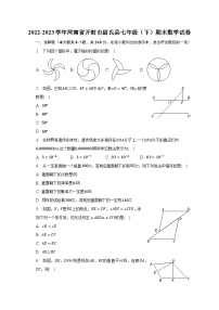 2022-2023学年河南省开封市尉氏县七年级（下）期末数学试卷（含解析）