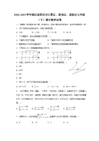 2022-2023学年湖北省武汉市江夏区、蔡甸区、黄陂区七年级（下）期末数学试卷（含解析）