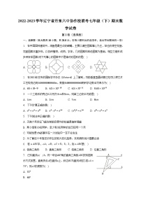 2022-2023学年辽宁省丹东六中协作校联考七年级（下）期末数学试卷（含解析）