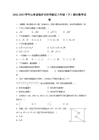 2022-2023学年山东省临沂市沂河新区八年级（下）期末数学试卷（含解析）