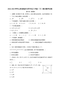 2022-2023学年山东省临沂市罗庄区八年级（下）期末数学试卷（含解析）