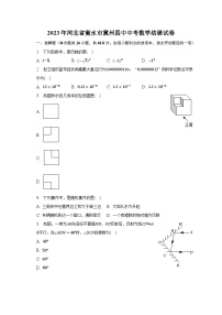 2023年河北省衡水市冀州四中中考数学结课试卷（含解析）