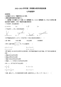 河北省邢台市威县2022-2023学年七年级下学期期末数学试题