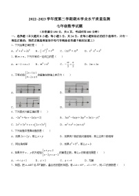 江苏省连云港市灌南县2022-2023学年七年级下学期期末数学试题