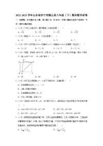 山东省济宁市微山县2022-2023学年八年级下学期期末数学试卷