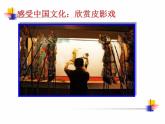 《投影与中心投影》PPT课件1-九年级上册数学北师大版