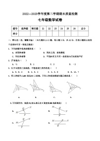 河北省秦皇岛市卢龙县2022-2023学年七年级下学期期末考试数学试题（含答案）