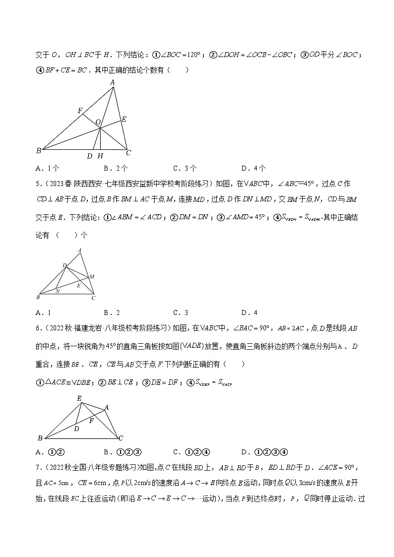 专题04 全等三角形经典压轴题型专训-2023-2024八年级数学上册重难点专题提升精讲精练（苏科版）02