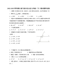 2022-2023学年浙江省宁波市北仑区七年级（下）期末数学试卷（含解析）