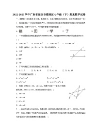 2022-2023学年广东省深圳市福田区七年级（下）期末数学试卷（含解析）