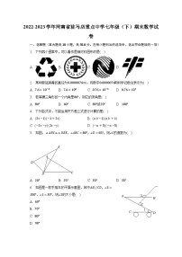 2022-2023学年河南省驻马店重点中学七年级（下）期末数学试卷（含解析）