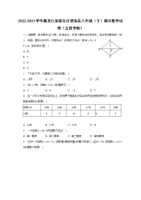 2022-2023学年黑龙江省绥化市望奎县八年级（下）期末数学试卷（五四学制）（含解析）