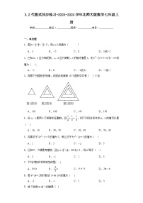 北师大版七年级上册3.2 代数式当堂达标检测题