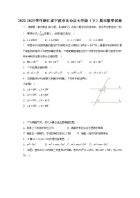 2022-2023学年浙江省宁波市北仑区七年级（下）期末数学试卷（含解析）