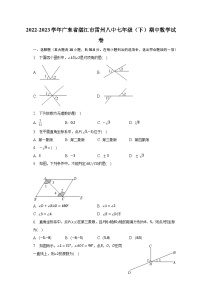 2022-2023学年广东省湛江市雷州八中七年级（下）期中数学试卷（含解析）