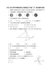 2022-2023学年河南省焦作市博爱县八年级（下）期末数学试卷（含解析）