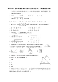 2022-2023学年河南省南阳市南召县七年级（下）期末数学试卷（含解析）