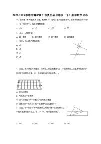 2022-2023学年河南省商丘市夏邑县七年级（下）期中数学试卷（含解析）