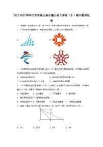 2022-2023学年江苏省连云港市灌云县八年级（下）期中数学试卷（含解析）