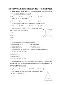 2022-2023学年山东省济宁市微山县八年级（下）期末数学试卷（含解析）