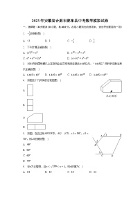 2023年安徽省合肥市肥东县中考数学模拟试卷（含解析）