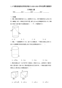 北师大版八年级上册3 勾股定理的应用精练