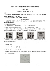 山东省青岛市胶州市2022-2023学年七年级下学期期末数学试题（含答案）