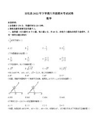 湖南省益阳市安化县2022-2023学年八年级下学期期末数学试题（含答案）