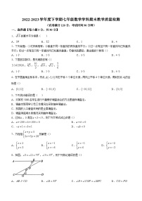 辽宁省营口市大石桥市2022-2023学年七年级下学期期末数学试题（含答案）