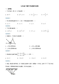 七年级下学期期中考试数学试卷