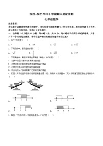 河南省许昌市长葛市2022-2023学年七年级下学期期末数学试题（含答案）