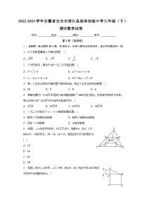 安徽省安庆市望江县杨林初级中学2022-2023学年八年级下学期期末数学试卷（含答案）