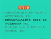 1.1 生活中的立体图形 北师大版数学七年级上册同步课件