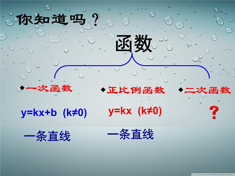 《二次函数》PPT课件2-九年级上册数学部编版04
