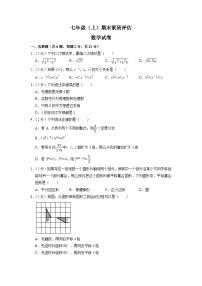 上海市上学期七年级期末数学试卷