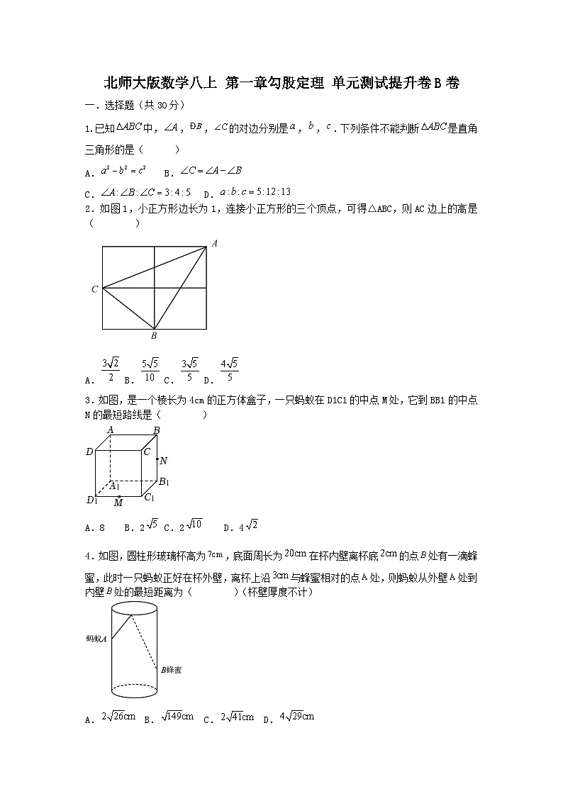 北师大版数学 八上 第一章第一提升测试卷B卷01