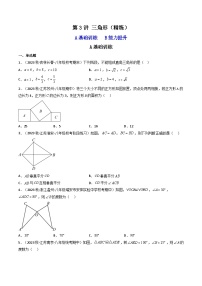 第3讲 三角形（题型精练）-中考数学一轮复习讲练测（全国通用版）