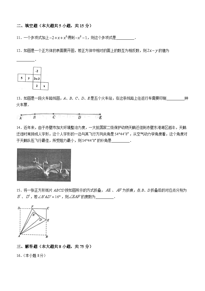 河南省洛阳市洛宁县2022-2023学年七年级上学期期末数学试题（含答案）第3页
