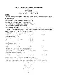 湖南省长沙市望城区2022-2023学年七年级上学期期末数学试题（含答案）