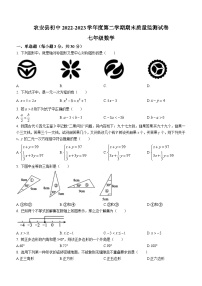 吉林省长春市农安县2022-2023学年七年级下学期期末数学试题（含答案）